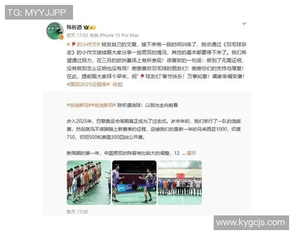 羽毛球技艺探秘:深入解析北京羽毛球队的进攻战术与策略